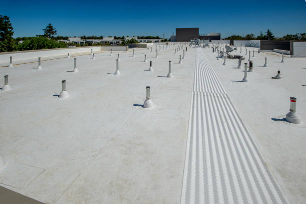 Best Sheet Metal Roofing  in Fort Benton, MT